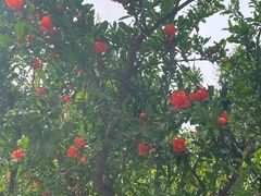 -汉长安城未央宫国家考古遗址公园