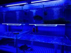 -玲珑阁昆山菜(锦溪店)