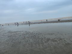 -启东黄金海滩景区