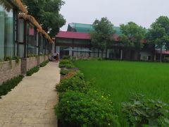 -洪湖家庭农场·团建·露营·会议