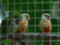 -大连森林动物园