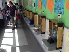 -上海市世外小学