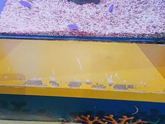 -海合安青岛极地海洋公园