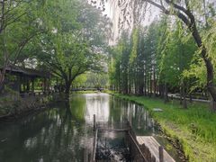 -溱湖国家湿地公园