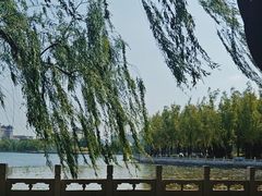 -莲花池公园