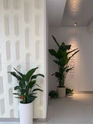 -魔型社烫染店