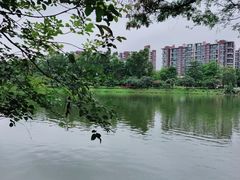 -松山湖风景区松湖烟雨
