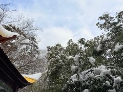 -莫干山风景区