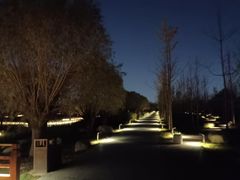 -汉长安城未央宫国家考古遗址公园