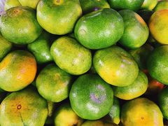 -红星农博物流中心