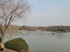 -宜兴龙背山森林公园