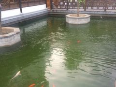 -麒麟小院·老九江菜(安平路店)