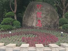 -野狸岛