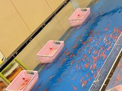 -悠然湯·汗蒸汤泉会馆