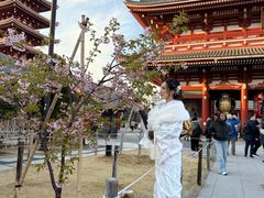 -浅草寺