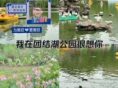 -团结湖公园