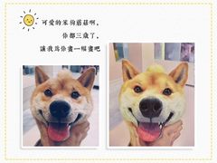 -Refn油画丨零基础定制油画