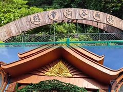 -西双版纳原始森林公园