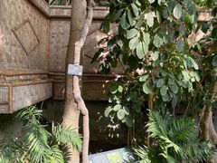 -北京植物园-展览温室