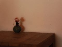 -Ginko银子(青龙街店)