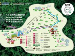 -野象谷景区