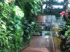 -森味薪火烧•烧鸟居酒屋•日本料理(望京店)