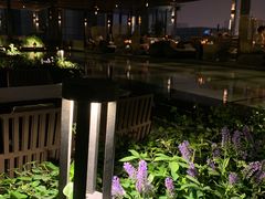 -四季酒店·空中花园 Aria on 9