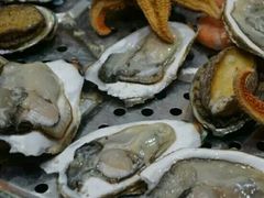 -福泉海码头(六里山店)