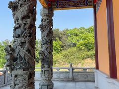 -铁山坪森林公园