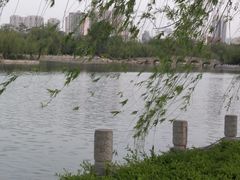 -迎泽公园