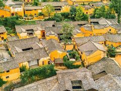 -杨家堂村