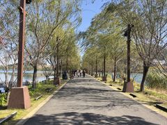 -南北湖风景区