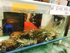 -寻味顺德·南记酒家·传统顺德菜·鱼生(广源路店)