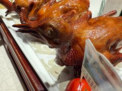 -大鸽饭(岗顶店)