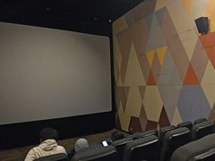 -恒华国际影城(顺义店)