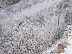 -溪口商量岗景区