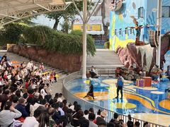 -海合安成都极地海洋公园