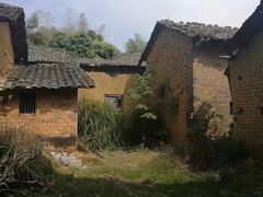 -开平碉楼文化旅游区马降龙景区
