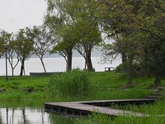-蠡湖大桥公园