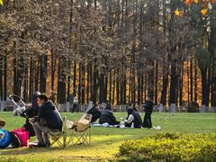 -范蠡湖公园