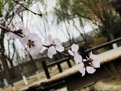 -三里河公园