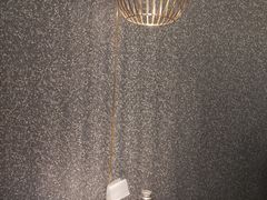 -半天妖烤鱼(东方新天地店)