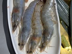 -外婆掌柜·东北家庭烤肉(托乐嘉店)