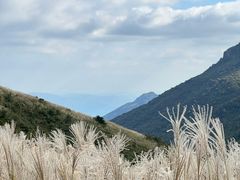 -浙西天池景区