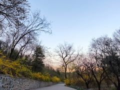 -北京鹫峰国家森林公园