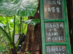 -火炉山森林公园