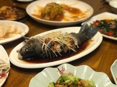 高原雪山鱼-小厨子私房菜·云南美食店