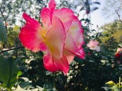 -人民公园(罗湖区)