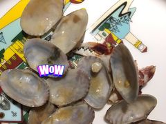 -前海沿·青岛菜(大拇指广场石老人店)