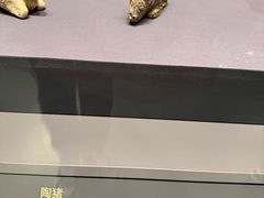 -贵州省博物馆(新馆)